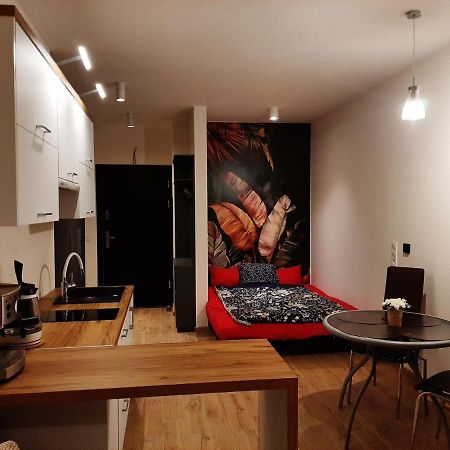 Apartament Pod Szyndzielnia, Debowiec Bielsko-Biała Eksteriør bilde