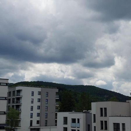 Apartament Pod Szyndzielnia, Debowiec Bielsko-Biała Eksteriør bilde