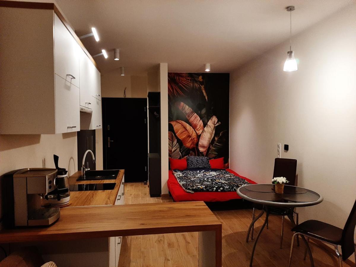 Apartament Pod Szyndzielnia, Debowiec Bielsko-Biała Eksteriør bilde