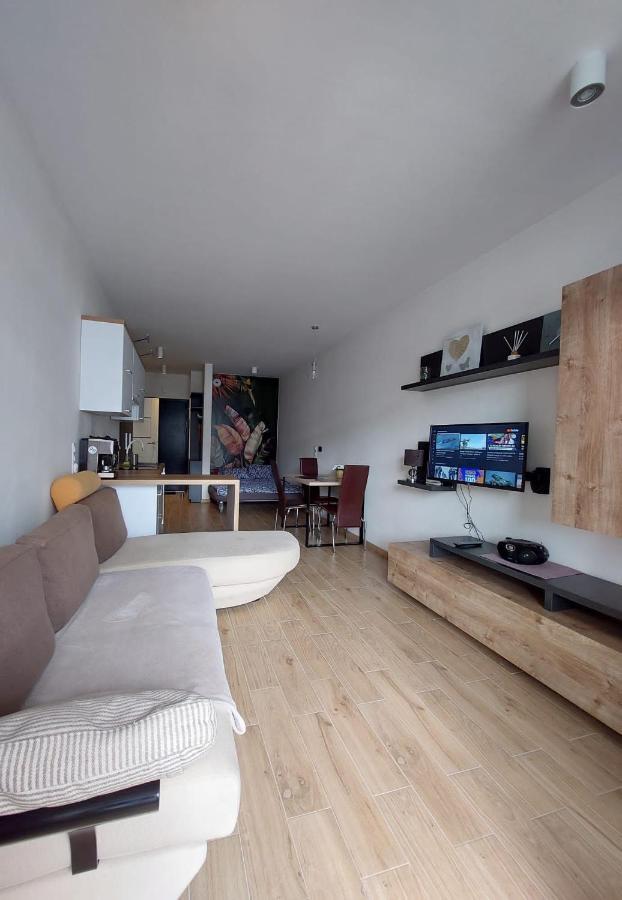 Apartament Pod Szyndzielnia, Debowiec Bielsko-Biała Eksteriør bilde